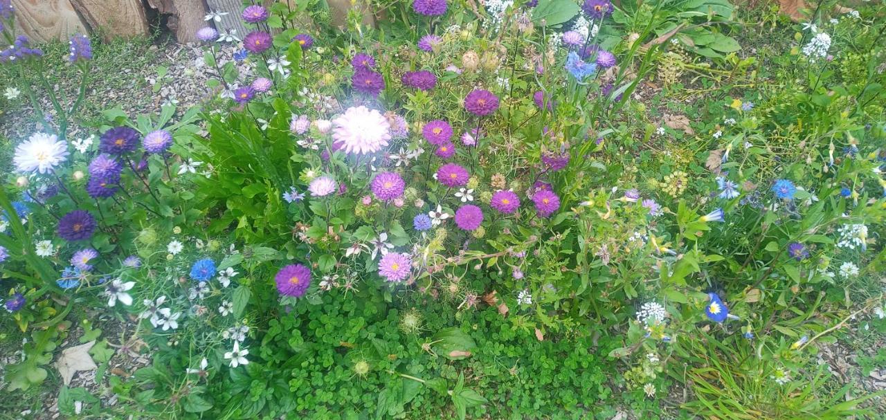 Postwood Gardens Country * Kentisbeare